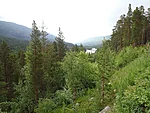 vaade tagasi jõele