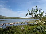 Tsahkaljärv