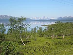 Kilpisjärvi