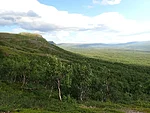 Dividalen
