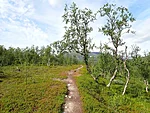 siin oli väga mõnus kõndida