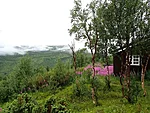 hommik Lappjordhyttas