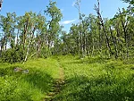 Rällarvägen