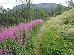 Rällarvägen