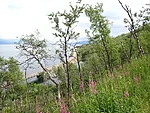 maantee järves