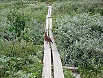 kana rajal