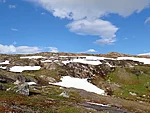 värvid