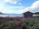 Virihaure kaldal