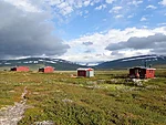 Pieskehaure