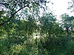 päike kerkib