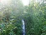 märg rada