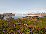 landscape with a fish, Kulusuk, Greenland