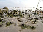 morning at Överkirke beach