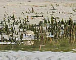 morning at Överkirke beach