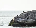 morning at Överkirke beach