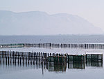 fishing nets in Messolonghi, Greece