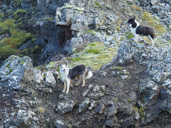 Þruma and Týra