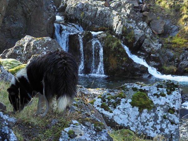 Týra and a waterfall
