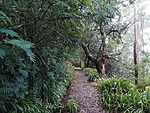 Levada da Serra do Faial