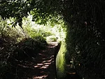 Levada dos Tornos