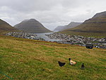 Klaksvík with chicken