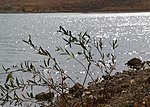 Shish Pir järv