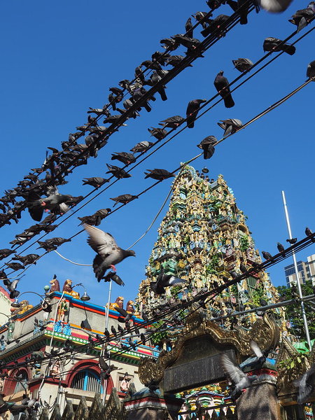 Shri Kali temple