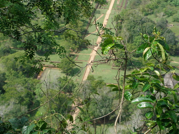 Sigiriya kindluses