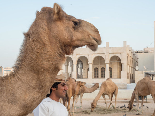 Doha, Qatar