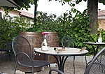 Barbaresco varblased