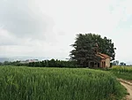 kabel