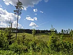 vaade põllule