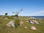 Pitkaninal