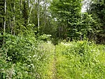 siin karvasem
