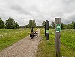 taas rööbastel