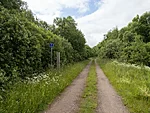 Läti rööpad