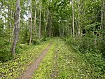 trimmerdatud rada