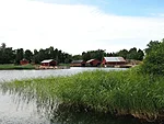 paadikuurid