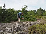 jägalamustri pildistamine