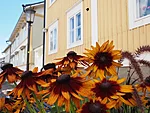lilleklump