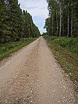 road towards Siimusti