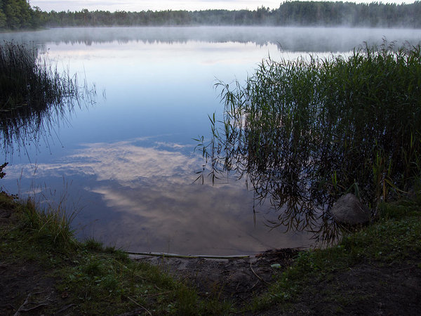 hommik Saare järve ääres