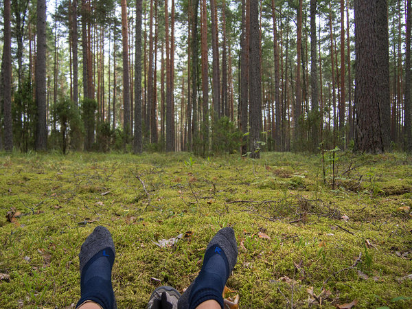 vasak ja parem metsas