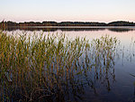õhtune Kirikumäe järv