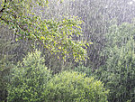 vihm Vaskna ääres