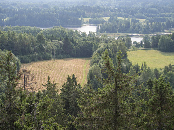 Vaskna lake from above