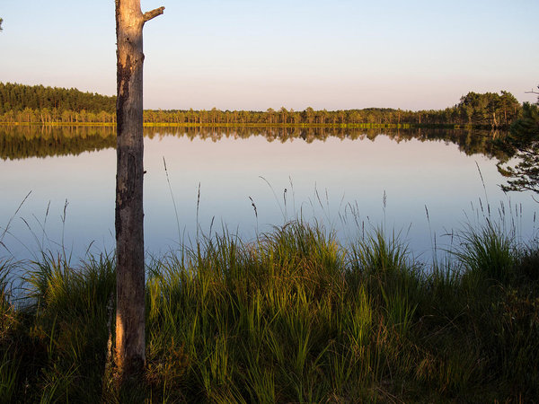 lake Mustjärv in Luhasoo bog