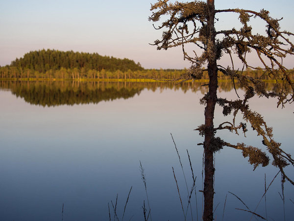 lake Mustjärv in Luhasoo bog