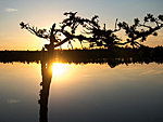 lake Mustjärv in Luhasoo bog