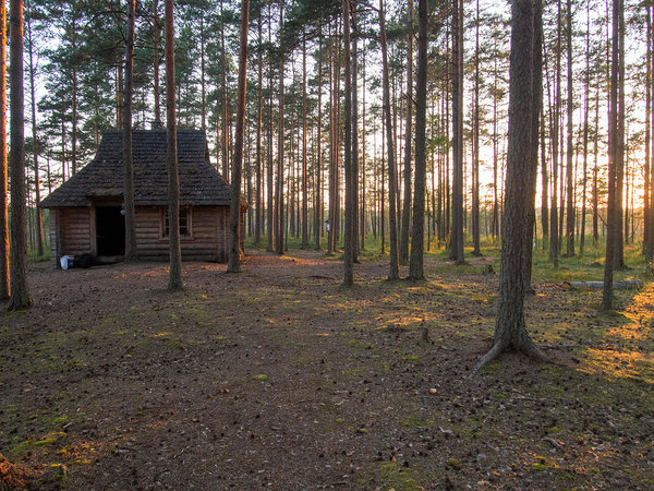Luhasoo forest hut